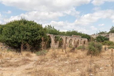 Kuzey İsrail, Celile 'deki Kibbutz Gaaton yakınlarındaki Gaaton Haçlı Kalesi' nin iyi korunmuş kalıntıları.
