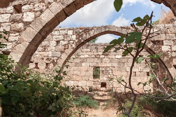 Kuzey İsrail, Celile 'deki Kibbutz Gaaton yakınlarındaki Gaaton Haçlı Kalesi' nin iyi korunmuş kalıntıları.