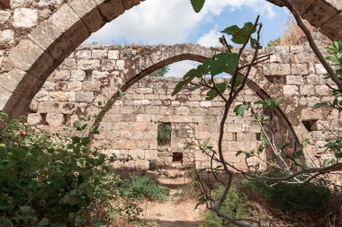 Kuzey İsrail, Celile 'deki Kibbutz Gaaton yakınlarındaki Gaaton Haçlı Kalesi' nin iyi korunmuş kalıntıları.