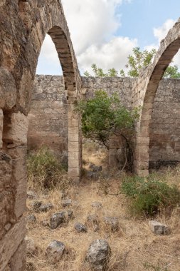 Kuzey İsrail, Celile 'deki Kibbutz Gaaton yakınlarındaki Gaaton Haçlı Kalesi' nin iyi korunmuş kalıntıları.