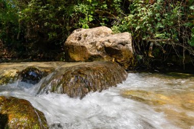 Fresh, cold, fast, shallow stream En Hardalit flows in the north of Israel, not far from Nahariya city