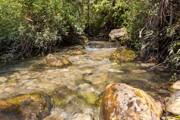 Fresh Cold Fast Shallow Stream Hardalit Flows North Israel Far — Stockfoto