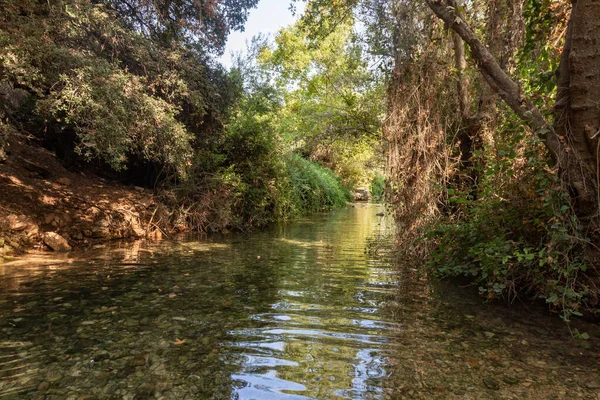 Fresh Cold Fast Shallow Stream Hardalit Flows North Israel Far — Stockfoto