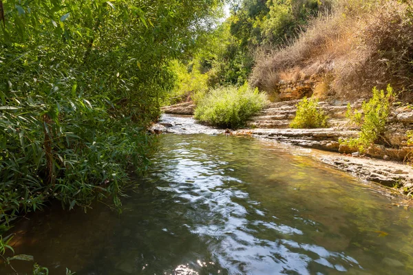 Fresh, cold, fast, shallow stream En Hardalit flows in the north of Israel, not far from Nahariya city