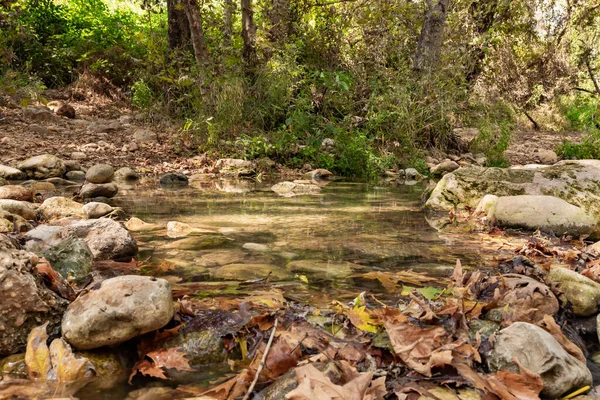 Fresh, cold, fast, shallow stream En Hardalit flows in the north of Israel, not far from Nahariya city