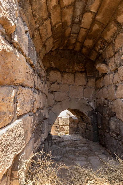 Beit Shean Israel August 2022 Partially Restored Ruins One Cities — 图库照片