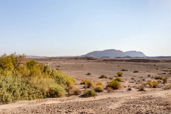 The majestic beauty of the boundless stone Judean desert in southern Israel