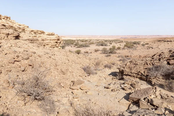 The majestic beauty of the boundless stone Judean desert in southern Israel