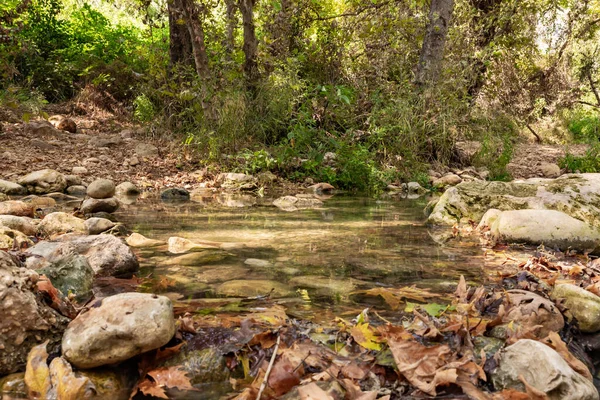 Fresh, cold, fast, shallow stream En Hardalit flows in the north of Israel, not far from Nahariya city