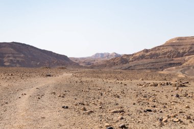 The majestic beauty of the boundless stone Judean desert in southern Israel
