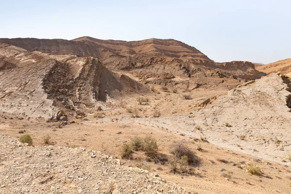 Majestic Beauty Boundless Stone Judean Desert Southern Israel — Foto de Stock