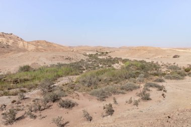 The majestic beauty of the boundless stone Judean desert in southern Israel