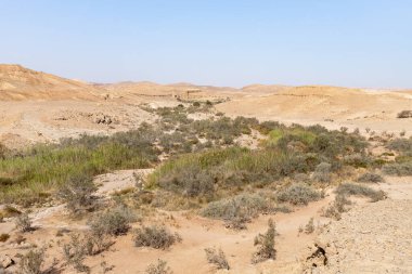The majestic beauty of the boundless stone Judean desert in southern Israel
