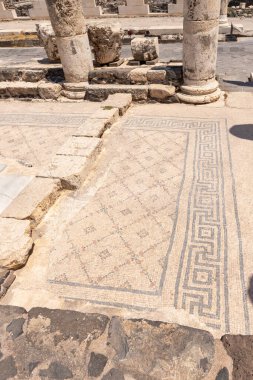 Beit Shean, Israel, August 06, 2022 : Mosaic in partially restored ruins of one of the cities of the Decapolis - the ancient Hellenistic city of Scythopolis near Beit Shean city in northern Israel