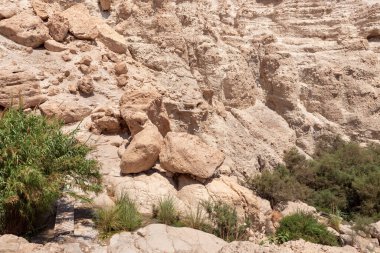 Ein Gedi National Nature Reserve, located in the Judean Desert, southern Israel