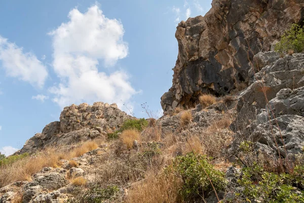 Mountain Nature National Reserve Nahal Mearot Nature Preserve Haifa Northern —  Fotos de Stock
