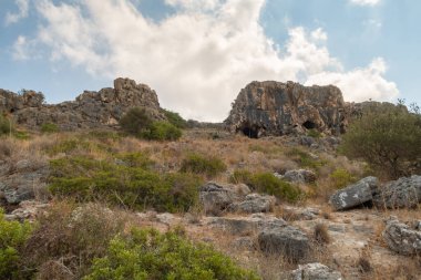 Mountain nature in the national reserve - Nahal Mearot Nature Preserve, near Haifa, in northern Israel