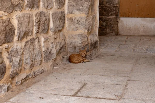 Jerusalem Israel August 2022 Muslim Shrine Complex Grave Prophet Moses — Foto de Stock