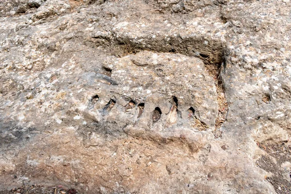 Traces of the life of primitive man in the national reserve - Nahal Mearot Nature Preserve, near Haifa, in northern Israel
