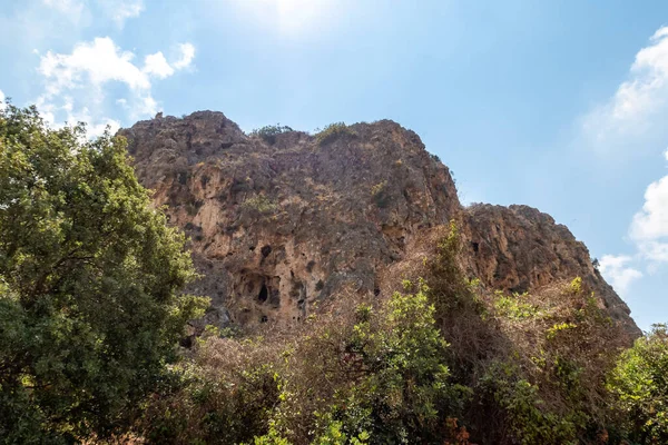 Mountain Nature National Reserve Nahal Mearot Nature Preserve Haifa Northern — стокове фото