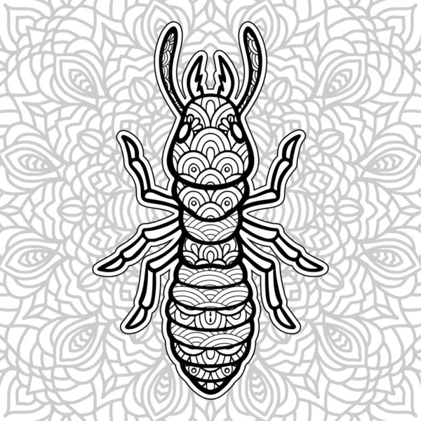 Böcek Mandala boyama putları. Stres Rahatlatıcı Hayvanlar Tasarımı.