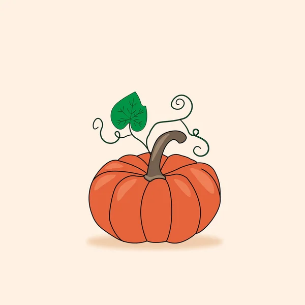 Pompoen Pictogram Vector Herfst Halloween Thanksgiving Pompoen Symbool Plat Ontwerp — Stockvector