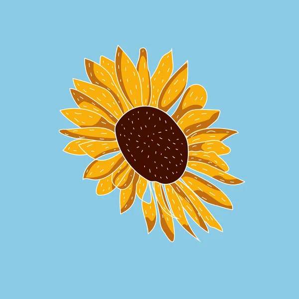 Sunflower Realistic Vector Icon Blue Background Yellow Sunflower Blooming Nature —  Vetores de Stock