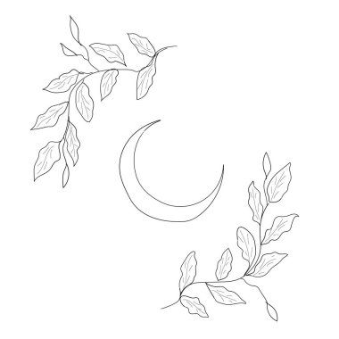 Ay 'ı ve etrafındaki süsleri yaprak şeklinde resmetmek. Çizim, çizgilerin stiliyle yapılır. Şık ve şık bir poster. vektör