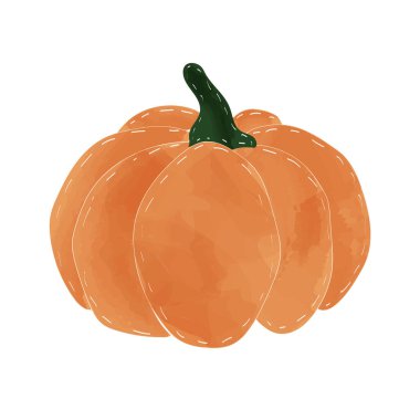 İzole edilmiş suluboya balkabağı. Vitaminli taze ve sağlıklı sebzeler. çiftlik sebzeleri.