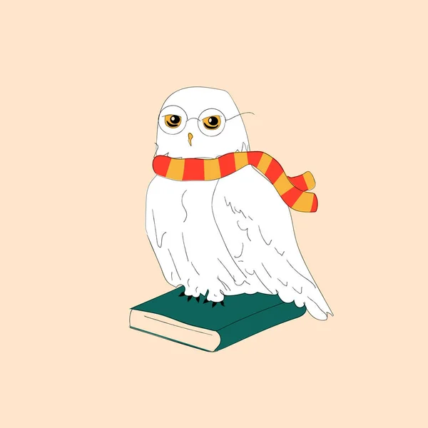 White Owl Sitting Books Wearing Scarf Glasses Vector — Vetor de Stock