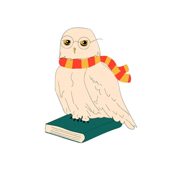 White Owl Sitting Books Wearing Scarf Glasses Vector — Stock Vector