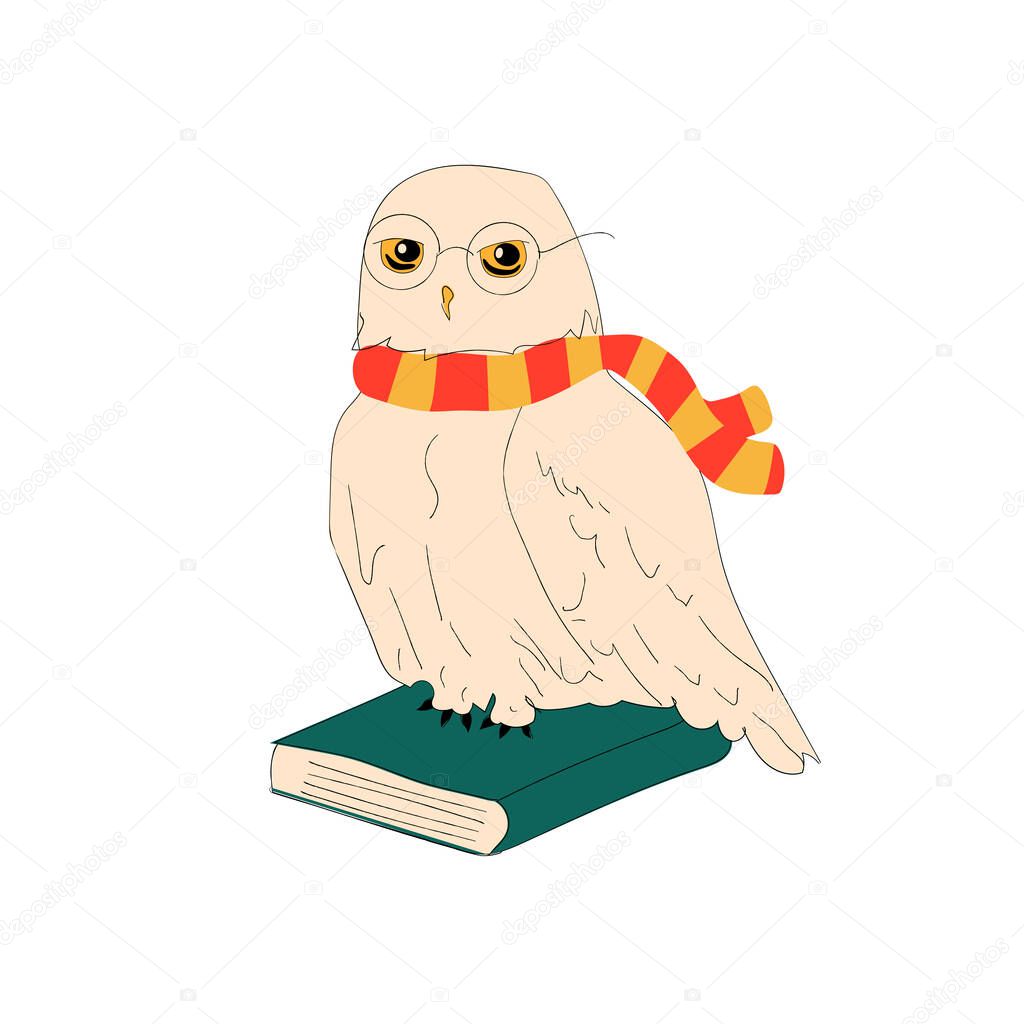White owl sitting on books wearing a scarf with glasses, vector