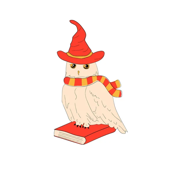 Owl Red Magic Hat Yellow Green Scarf Vector Illustration — 스톡 벡터