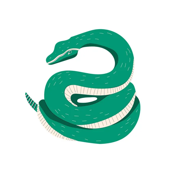 Green Snake Animal Magical Wild Vector Illustration — Stock Vector