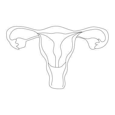 One continuous single drawing line art doodle tree sapling and shovel, uterus, female, anatomy, gynecology, ovary, pregnancy, medicine. Isolated flat illustration hand draw contour on white backgroun