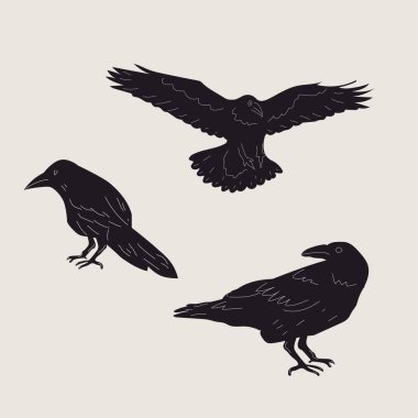 Set of black Raven or Crow birds. Different poses. Cartoon style, flat design. Halloween, horror concept. Hand drawn trendy Vector illustration. Every bird is isolated