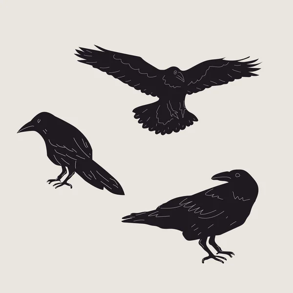 Set Black Raven Crow Birds Different Poses Cartoon Style Flat — Stockvector