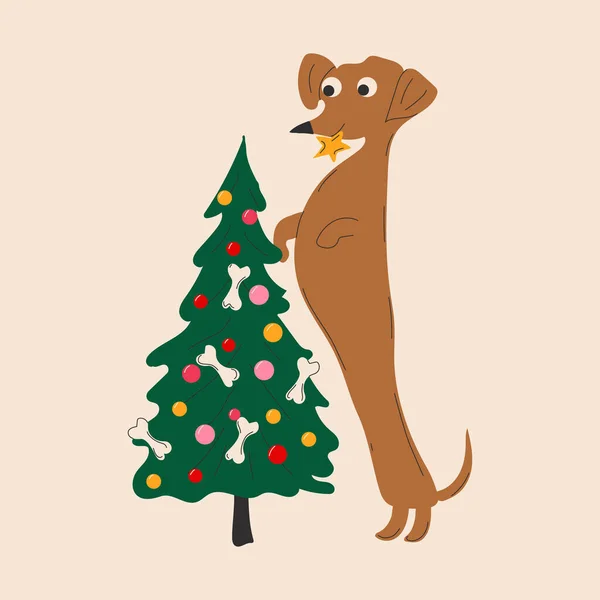 Dachshund Dog Decorates Christmas Tree Vector Illustration White Background — Stock Vector