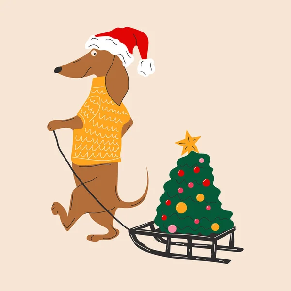 Dachshund Perro Tira Árbol Navidad Trineo Vector Ilustración — Archivo Imágenes Vectoriales
