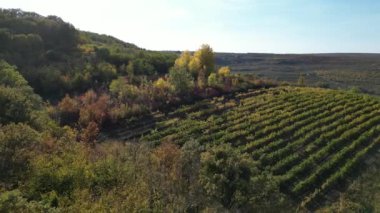 Suruceni Bölgesi, Moldova Cumhuriyeti