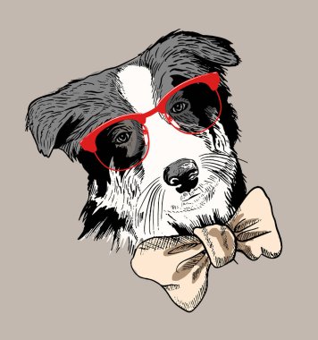 Gözlüklü sevimli hippi köpeğinin vektör çizimi ve papyon, eğlenceli hayvanlı tişört izi.