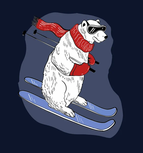 스키에서 아래로 내려가는 고글에 귀여운 북극곰 손으로 — 스톡 벡터