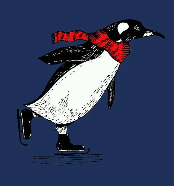 企鹅的矢量图解 用手绘的可爱企鹅在冰鞋上的T字迹 — 图库矢量图片