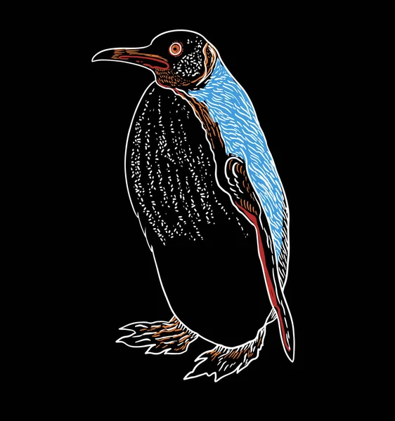 企鹅的矢量图解 带有手工绘制的可爱企鹅的T字迹 — 图库矢量图片