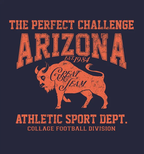 Arizona Tipografie Imprimare Atletică Pentru Design Tricou Ilustrație Vectorială Grafică — Vector de stoc