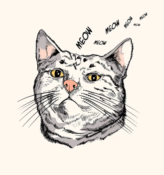文字のテキストをマウスに見て手描き猫 かわいいキャラクター ベクトル — ストックベクタ
