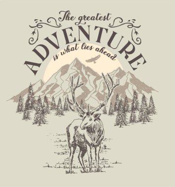 macera stili vintage bayrak, vektör illüstrasyonu