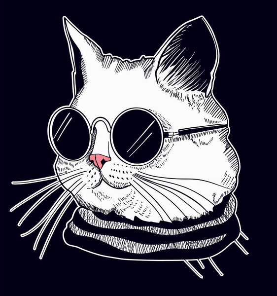cat with sunglasses, vector illustration
