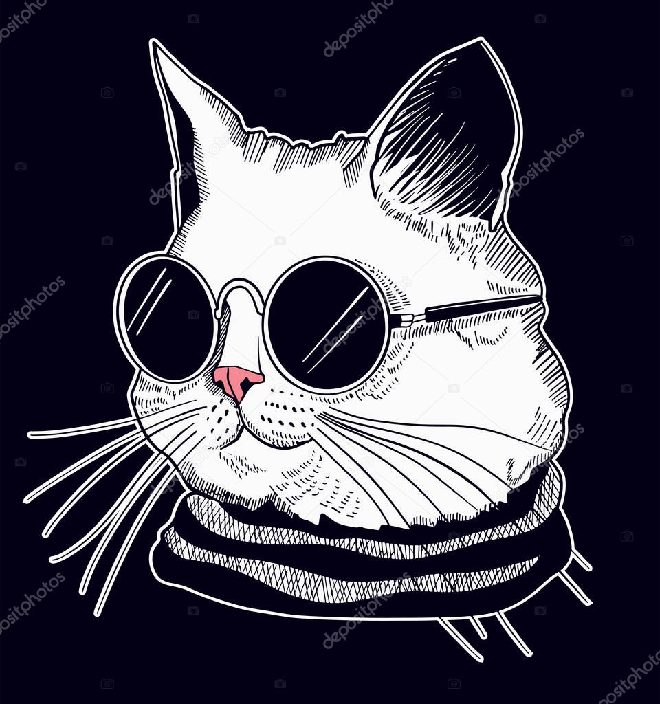 cat with sunglasses, vector illustration