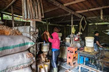 Bali, Indonesia, July, 2022.  Local workers make tofu from soybeans. Process of making tofu